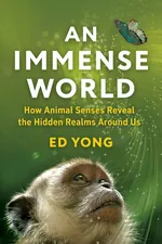 The Curious Mind’s Grand Tour cover