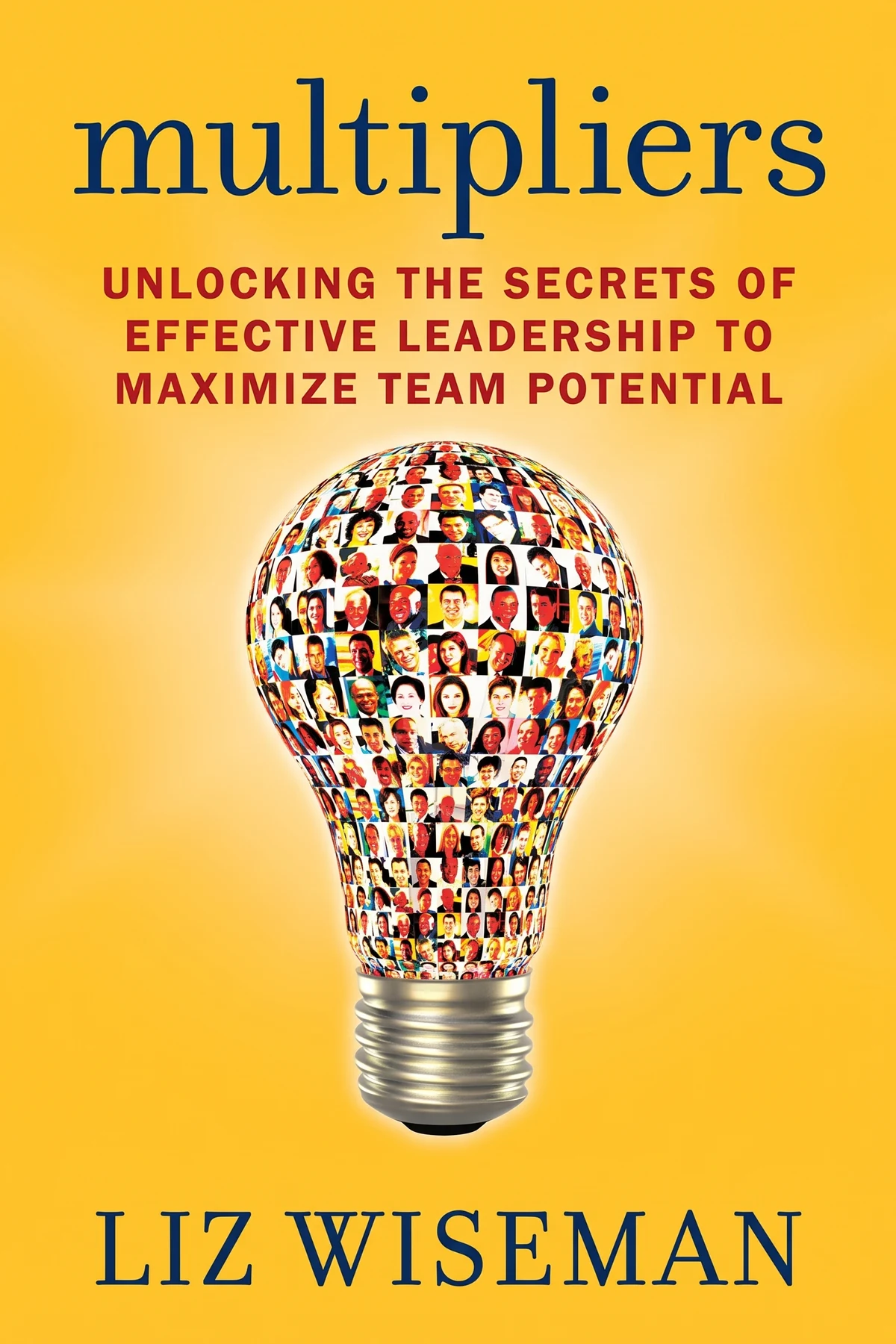 The High-Performance Playbook: Unlock What Your Team Can Really Do cover