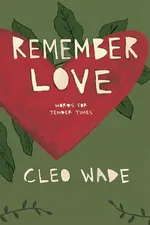 Remember Love cover