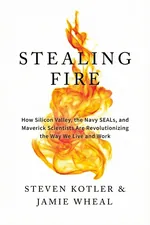 Stealing Fire cover