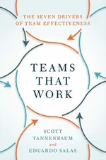 Teams That Work cover