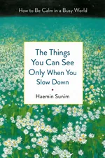 The Things You Can See Only When You Slow Down cover